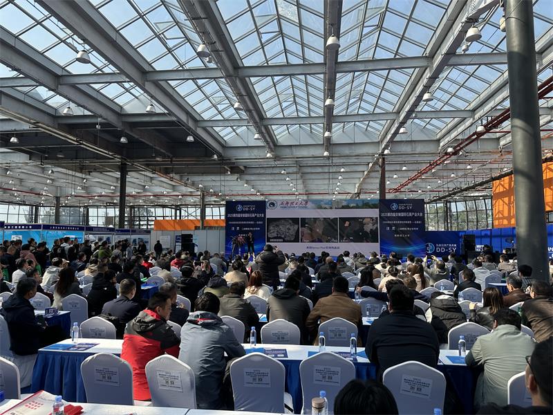 Sanyuantang Machinery shines at the 4th Anhui International Quartz Industry Conference