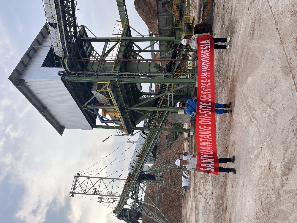 Biomass Wood Chip Screening Machine, Customer Site Actual Operation, Wood Chips Size Sorting Vibrati